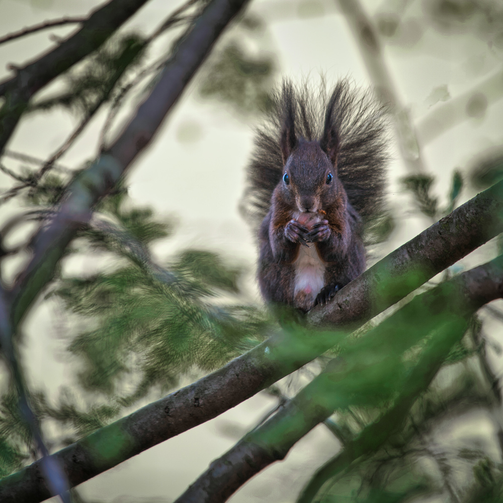 Platz 7 Harald Unglert